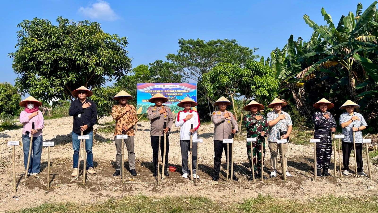 BRI BO Kisaran Ikuti Tanam Raya Jagung Serentak, Dukung Swasembada Pangan 2026